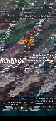 Đất Cây Lâu Năm chính chủ, Dt 10.000m2, gần DT909 cầu Ngãi Tứ mới!