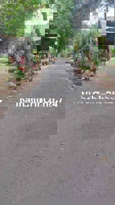 CHÍNH CHỦ NGỘP NGÂN HÀNG CẦN BÁN LÔ ĐẤT SỔ RIÊNG MẶT TIỀN