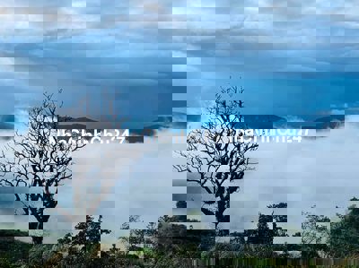 Đất dân chính chủ – chưa qua đầu tư, cơ hội hiếm như mây trời sáng sớm