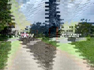 ĐẤT CHÍNH CHỦ CẦN BÁN GẤP LỘC HOÀ 2 ĐỨC HOÀ