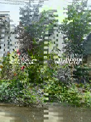 Chính chủ cần bán lô Đất Tân Định Bến Cát. Bình Dương