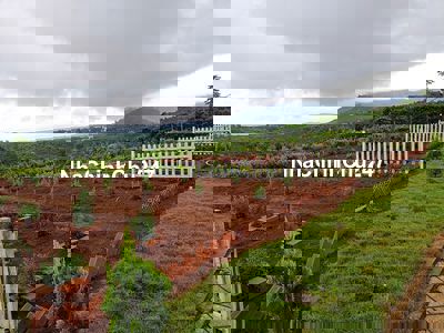 Chính chủ bán đất nền mặt tiền đường nhựa 8m, sổ sẵn, xây dựng tự do