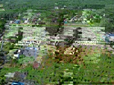 CHỦ CẦN TIỀN BÁN NHANH VƯỜN Ở BÀU BÀNG TP.HCM