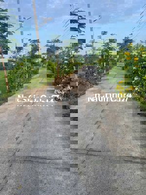 CHÍNH CHỦ bán 5 lô thổ 120m2, Tân Ân