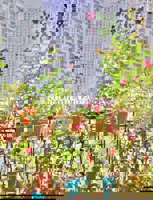 CHÍNH CHỦ ĐI ĐỊNH CƯ GỞI BÁN GẤP GIÁ RẺ Q3 2PN