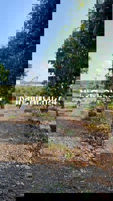 CHÍNH CHỦ CẦN BÁN GẤP ĐẤT VƯỜN 1000M2 Ở XÃ NGỌC ĐỊNH, ĐỊNH QUÁN