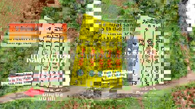 500tr/lô sổ riêng xã Kim Long TPHCM Sổ Hồng Riêng