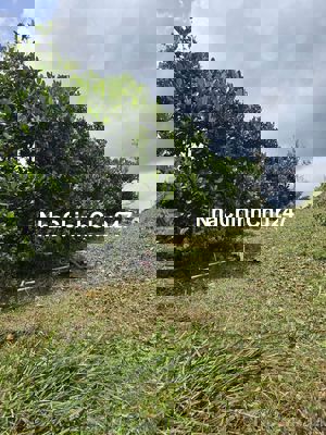 💥 Chính chủ bán 6.300m2 đất view đẹp. Mua 2,7 tỷ bây giờ bán 2 tỷ