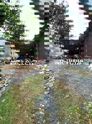 🔥 CHÍNH CHỦ CẦN BÁN GẤP ĐẤT MẶT TIỀN HẺM XE TẢI – BÌNH TÂN 🔥