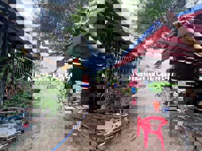 Chính Chủ Bán Đất Ấp 2 hữu Thạnh đối diện Ecity Tân Đức