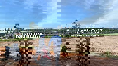 Chủ ngộp ngân hàng bán gấp lô đất mặt tiền 399 triệu