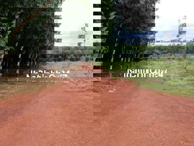 CHÍNH CHỦ BÁN GẤP 10x100 GIÁ 78 TRIỆU