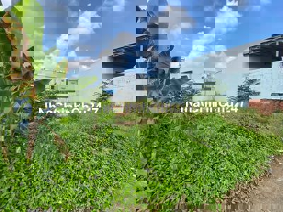 CHÍNH CHỦ GỬI BÁN GẤP 400tr/273m2 MT SUỐI LỘI CỦ CHI , FULL THỔ , SHR