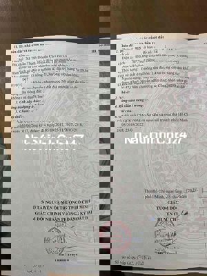 Chính chủ cần bán đất 12,5 x 36 m  đường TL15 Tân Thạnh Đông Củ Chi