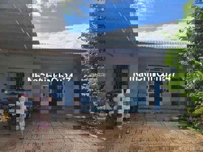 chính chủ bể nợ cần bán gấp đất tặng nhà cấp 4