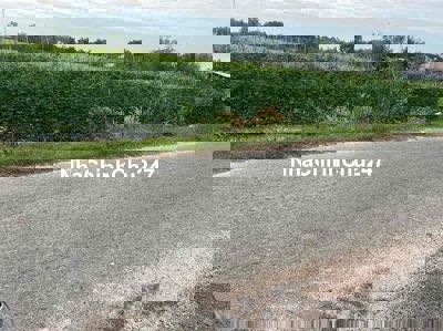 🌾🔥 CHÍNH CHỦ CẦN BÁN GẤP LÔ ĐẤT ĐẸP – XÃ THÁI MỸ, HUYỆN CỦ CHI 🔥🌾