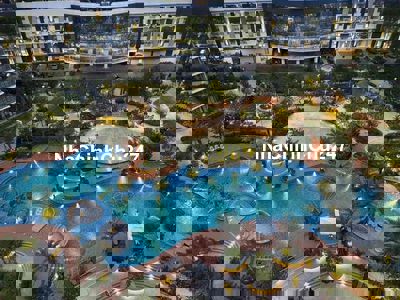 Chính chủ cần bán nhanh căn hộ Diamond Centery 96m2 giá 7.2tỉ