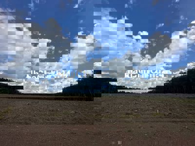 Chủ cần bán gấp đất nền 1100m2 tại xã Tân Lợi, Đồng Phú, 400 triệu,.