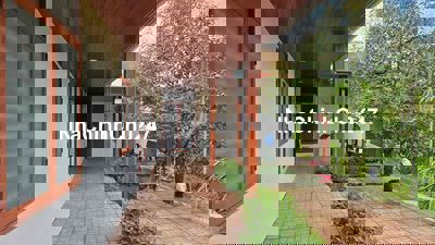 Chủ về An Giang lập nghiệp cần bán gấp căn nhà vườn tâm huyết