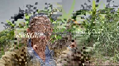 Đất CLN chính chủ chỉ 1 tr/m2 giá tốt cho các nhà đầu tư, SHR