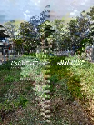 Chính chủ can bán