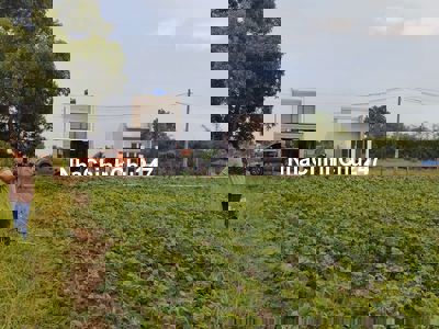 Bán đất sát QLN2 đức hòa 385m2 chính chủ thổ cư