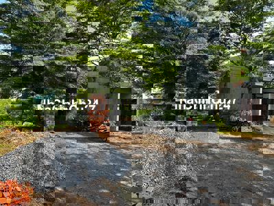 Chính Chủ Đang Nợ Ngân Hàng Cần Bán Nhanh Lô Đất Với Giá Rẻ