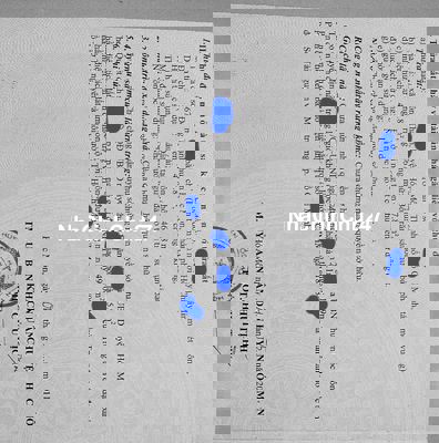 🌿 BÁN ĐẤT CHÍNH CHỦ XÃ ĐÔNG THẠNH, HÓC MÔN – 532M², SỔ HỒNG RIÊNG