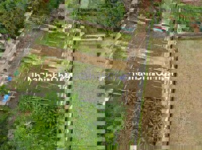 Chủ cần tiền bán căt lỗ 97,1m2 đất full thổ cư