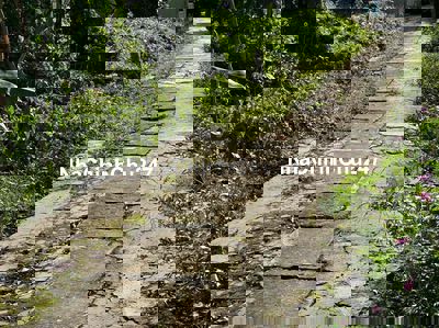 NHẬN CHÍNH CHỦ ĐẤT NỀN PHƯỜNG 8, THÀNH PHỐ VĨNH LONG - Diện tích: 128,