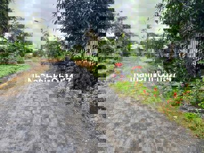 CHÍNH CHỦ BÁN GẤP 80M2 NỀN TĐC PHƯỚC ĐÔNG