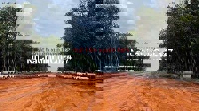 Chính chủ cần bán đất mặt tiền giá rẻ