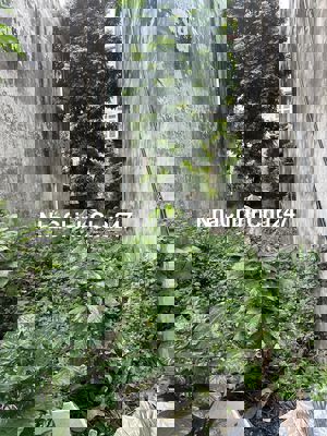 Chính chủ gửi bán 33m2 chợ bưởi, võ chí công, Hoàng Quốc Việt