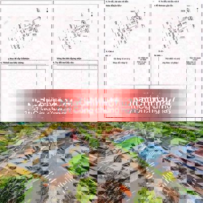 Chính chủ bán cặp liền kề ngay trường Đại Học Việt Đức 10x17, Sổ Sẵn