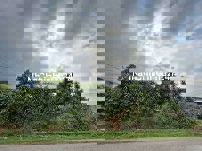 Chủ ngộp cần bán đất trả nợ