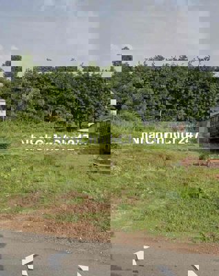 Chủ gửi lô đất giá rẻ gần chợ An Linh SHR công chứng ngay