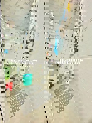 BN chính chủ- Mặt tiền Chợ Chim Xanh Đội Cung,Q11;1T+2Lđúc;DT 3.2x12m