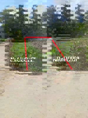 CHỦ NGỘP BÁN GẤP GIẢM GIÁ SÂU 60TR ĐẤT 2 MẶT TIỀN FULL THỔ CƯ 186M2