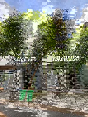 💥💥SIÊU RẺ CHÍNH CHỦ GỬI BÁN NHÀ 4 TẦNG DƯƠNG VĂN AN