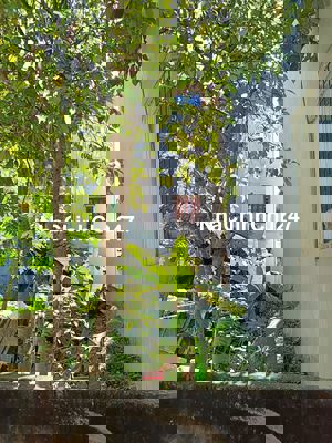 BÁN ĐẤT CHÍNH CHỦ, THANH TRÌ HN.