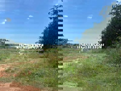 Chủ cần bán gấp , đất Lai Hưng Bầu Bàng , giá tốt