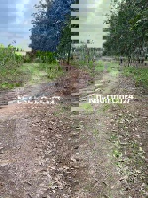 CHỦ GỬI ĐẤT LÀM KHO XƯỞNG TẠI TÂY NINH