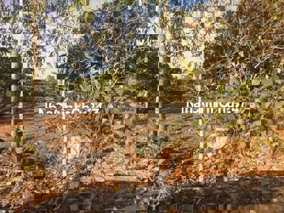 Chính chủ bán lô đất cách đường 715 chỉ 500m, Thiện Nghiệp – Mũi Né