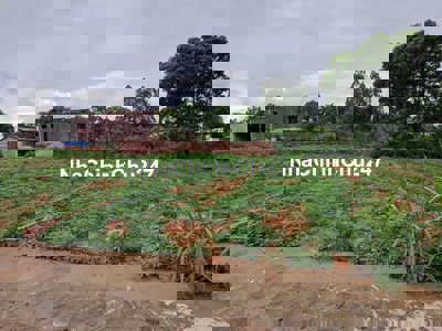 Giá Rẻ Giật Mình Chính chủ cần Bán Gấp Đất Fuff Thổ Cư. TAM DƯƠNG VP