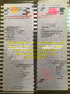 Chính Chủ Cần Bán Lô Đất Đẹp Tiềm Năng Tại Long Điền, Hồ Chí Minh