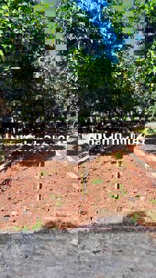 CHÍNH CHỦ CẦN RA GẤP LÔ ĐẤT GẦN CHỢ PHƯỜNG BÌNH LỘC, LONG KHÁNH