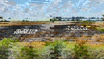 Chủ giảm thêm 1 tỷ bán nhanh lô đất lúa mặt tiền đường ĐT 830B ngang 5