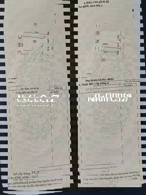 Chính chủ bán lô biệt thự 250m2 GODENL HILLS