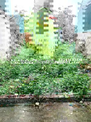 Sổ đỏ chính chủ bán đất 51m2,Thiên Đông, Thanh Oai, Gần Vành Đai 4