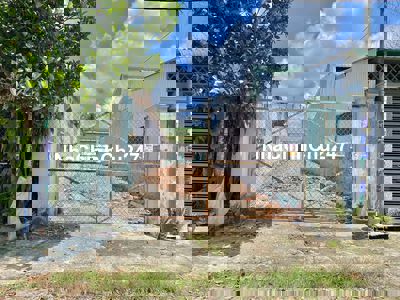 Chủ bán nhanh lô đất 181m2 (120m2 thổ cư), Thị Trấn Củ Chi, Giá: 650tr